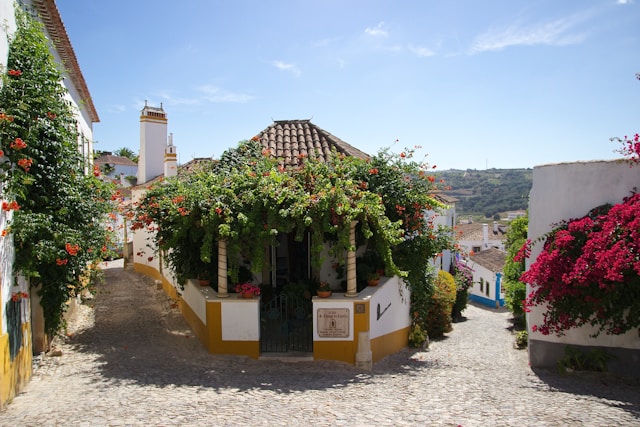 Cobblestone street in Óbidos full of flowers